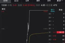 跌停拉涨停，只用15分钟！酒精也疯狂，因搭边“酒”而涨停？图片