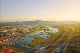 美！洛河西段渠首坝蓄水，绿树碧水风景靓丽图片