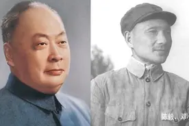 淮海战役是谁指挥的？是粟裕，还是陈、邓？刘伯承扮演什么角色？图片