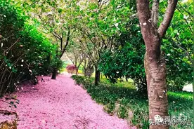 美丽漯河：摄影佳作欣赏图片