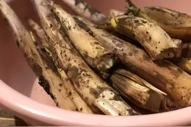 鞭笋：宜兴方言里的戗芽笋图片
