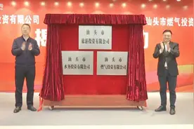我市三家国有企业揭牌成立！图片