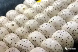 星月菩提脱脂与原生态之争图片