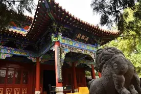 河南新修价值50亿古镇，以“酒”会友为特色，被称“中原一绝”图片