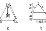 全国大联考 2020 届高三 4 月联考图片