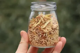 今日大暑，拿出姜和大米，教你炒姜米茶，浓郁姜味和米香，好喝图片
