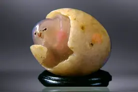 这些石头要成精？巴彦淖尔这场珍稀奇石盛宴邀你一饱眼福图片