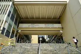 怎么看香港岭南大学？图片