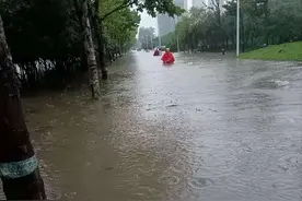 暴雨(二O二一年的七月二十日，将成为人生不可磨灭的回忆……)图片