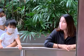 郭晶晶夫妇与仨孩子现身乐园，暖男霍启刚主动带娃让老婆休息放空图片