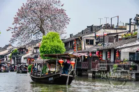浙江吴地文化的梦里水乡，摇橹船一船仅100元，千年古镇景如画图片