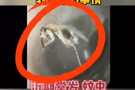 西安一幼童遇“飞虫入耳”，医生：千万别掏！可用这种东西图片
