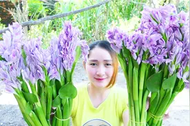 农村巧妇拿新鲜的水葫芦花制作美食，看她怎么做的视频封面