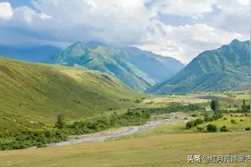 红月亮诗画艺苑｜放生野貉子｜作者 周仁臣图片