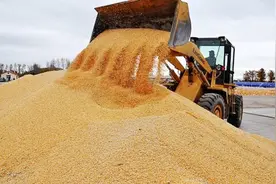 美国的粮食武器威力强大，中国都曾吃过大亏，但是后面却反败为胜图片