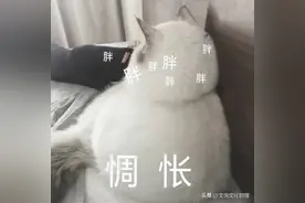 网上80斤的小姐姐很多？真相：中国成年女性平均体重近120斤图片