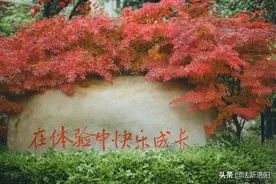 李青青：准确定位，是一所学校发展的关键图片