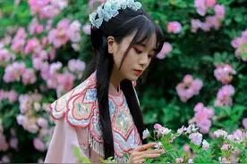 青影 | 青白江宝藏古风打卡地，一眼穿越！图片