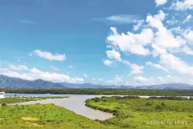 珍稀野生动物成深圳人“好邻居”，深晚记者独家专访还原欧亚水獭发现全过程图片