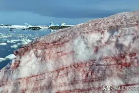 南极再现“血雪”奇观，科学家：南极升温或失控图片