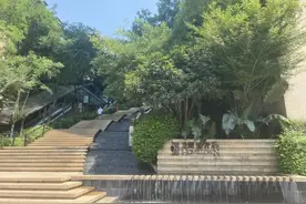 挖宝！重庆那些轻轨就在家门口的房子，个个都是“抢手货”图片