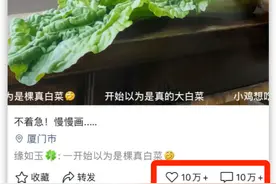 视频号如何涨粉到1万？能赚到钱吗？我们采访了6个万粉视频号图片