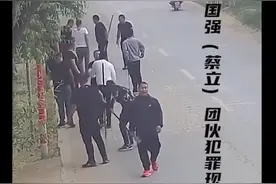 陕西武功：“西安最牛村支书”与“陕西獒王”蔡国强覆灭记图片