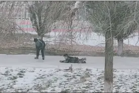 南方vs北方过冬：下雪天的快乐都是人家的，广东人只有雪糕图片
