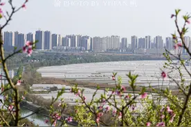 重庆潼南有座桃花山，与想象中相去甚远，失望中又有惊喜图片