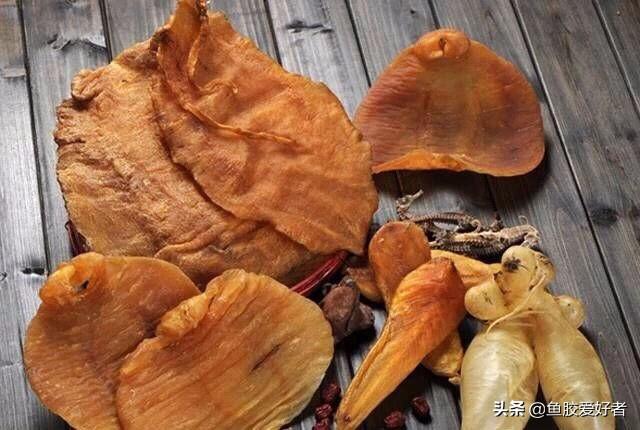 花胶贵吗 2026年花胶贵吗?