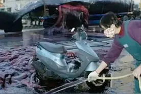 2004年，55吨鲸尸闹市区爆炸，腐败物喷涌横飞，路人内心充满绝望图片