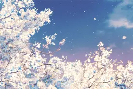 一个差生创造的中考奇迹：初三，就是要玩命拼！图片