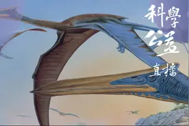 化石有话要说：除了悟空卫星，中国还有了悟空翼龙图片