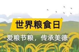粒米虽小犹不易 爱粮惜粮——西安市雁塔区第一幼儿园世界粮食日主题活动图片