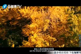 一片看懂福建“世遗”，英文版来了图片