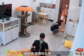 家务全包的女人，求求你别再那么“懂事”了图片
