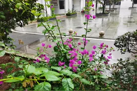 父母如何陪伴高三娃图片