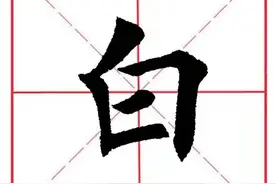 每日一字39：白图片