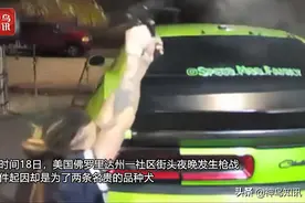 美国两女子街头持枪疯狂扫射追击！起因竟是两条狗狗……图片