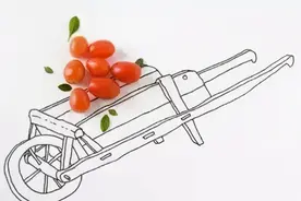 创意农业的六种模式图片
