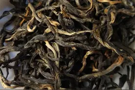 原生态英红九号多少钱一斤？广东英红九号茶叶多少钱一斤？图片