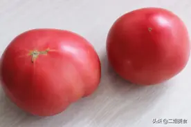 打了激素的西红柿和正常西红柿有啥不同，菜农：认清3点，别买错图片