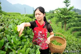 知青老牛：他和村姑相爱遭其母反对，痛苦了一生图片