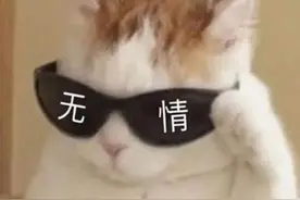 表情包｜墨镜一戴谁都不爱，酷酷的表情图片