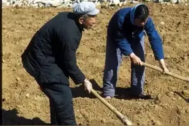 网红抖音最近较红的一首歌《点歌的人》，人这一生啊！图片