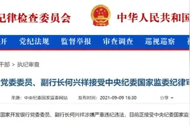 利用审批监管权索贿受贿、借参与风险处置以权谋私……严惩金融腐败，打掉“老鼠”护住“玉盘”图片