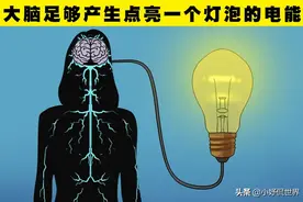 每个人都可成为大力士？人类的身体可以做到的10件非常特别的事情图片