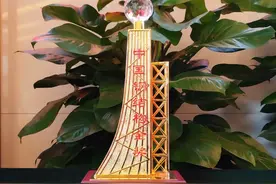 五洲设计院设计的这个项目，荣获“中国钢结构金奖”图片
