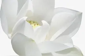 来日方长，抵不过世事无常图片
