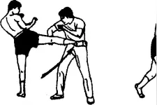 什么是无限制泰拳？泰拳格斗整体特征及其指导思想图片